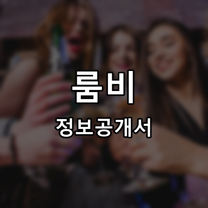 룸비 프랜차이즈 정보공개서