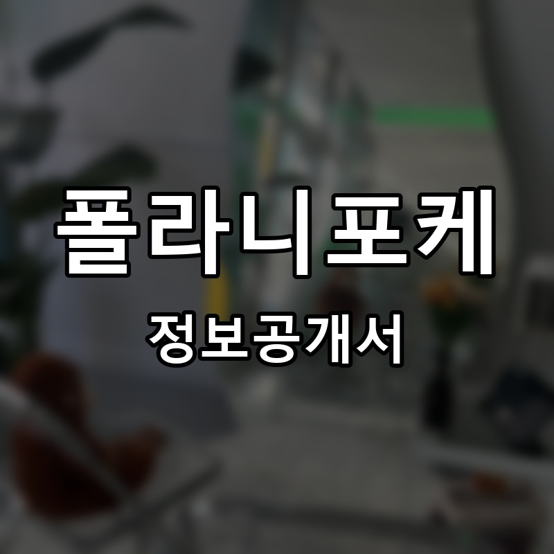 폴라니포케 프랜차이즈 정보공개서