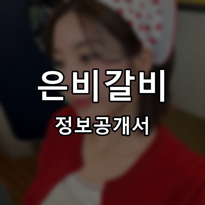 은비& 프랜차이즈 정보공개서