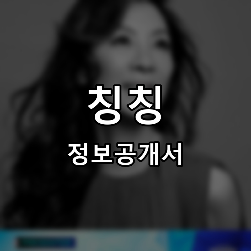 칭칭 프랜차이즈 정보공개서