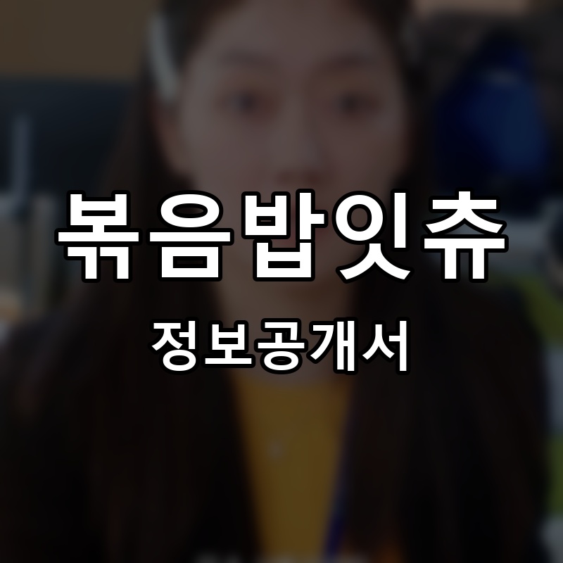 볶음밥잇츄 프랜차이즈 정보공개서