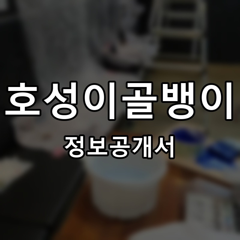 호성이골뱅이 프랜차이즈 정보공개서 요약