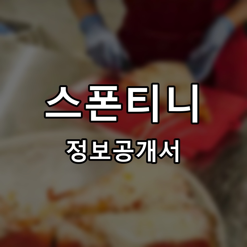 스폰티니 프랜차이즈 정보공개서 요약