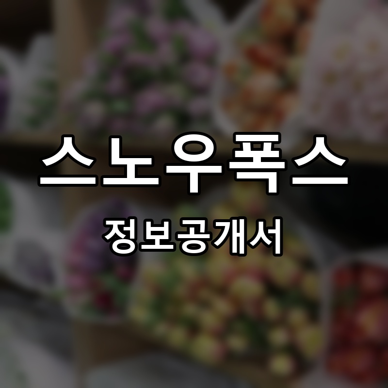 스노우폭스플라워 프랜차이즈 정보공개서