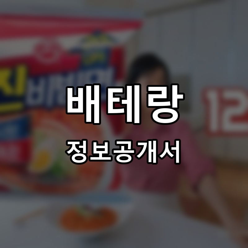 배테랑 프랜차이즈 정보공개서