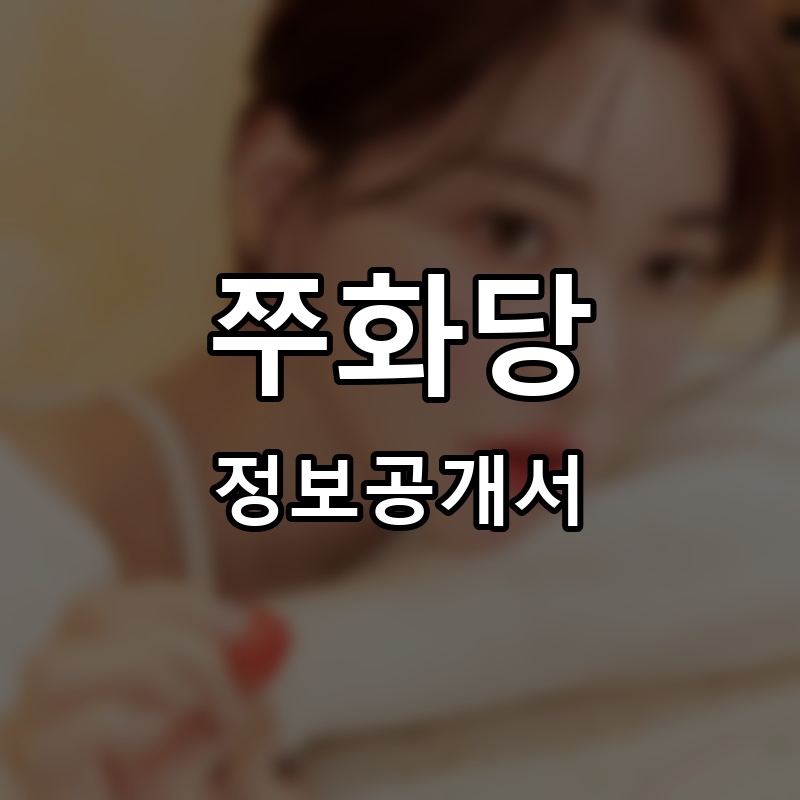 드리즐 프랜차이즈 정보공개서