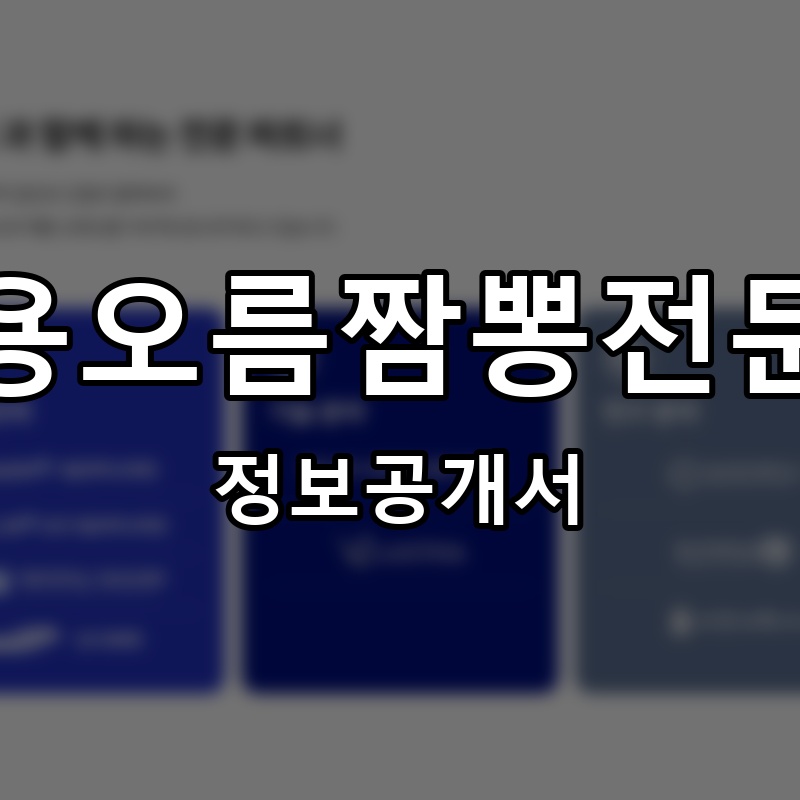 용오름짬뽕전문 프랜차이즈 정보공개서