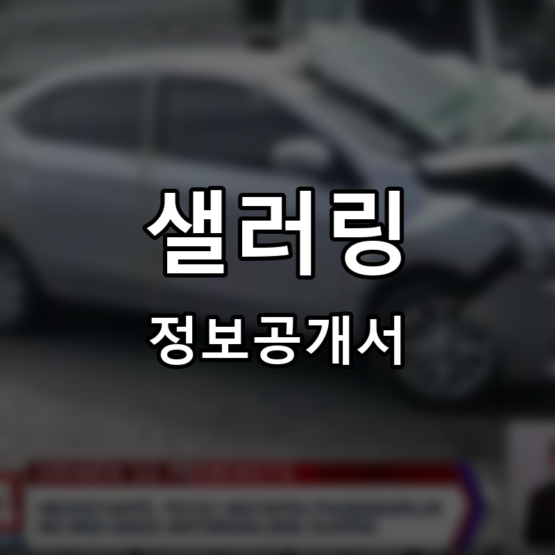 샐러링(Salaring) 프랜차이즈 정보공개서