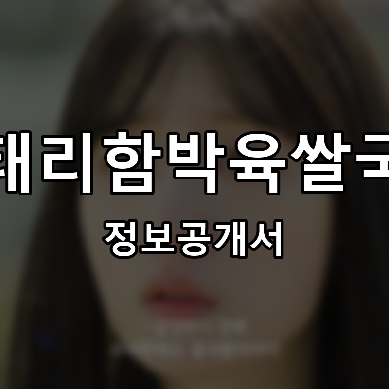 이태리함박육쌀국수 프랜차이즈 정보공개서 요약