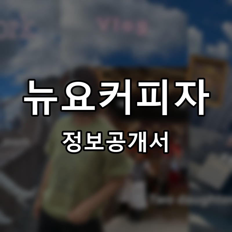 뉴요커피자 프랜차이즈 정보공개서 요약