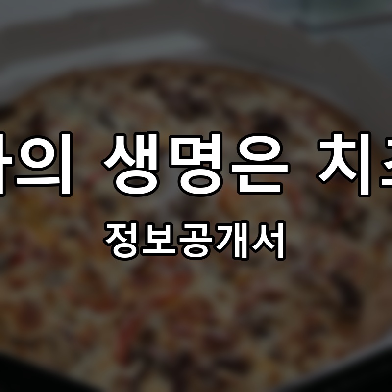 피자의 생명은 치즈다 프랜차이즈 정보공개서 요약