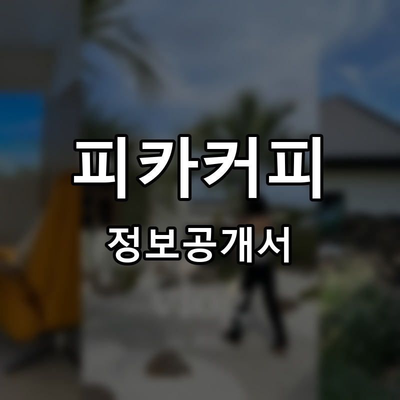 피카커피 프랜차이즈 정보공개서