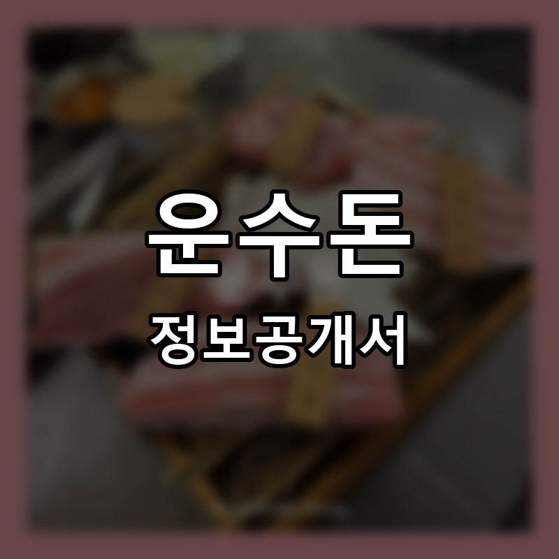 운수돈 프랜차이즈 정보공개서 요약