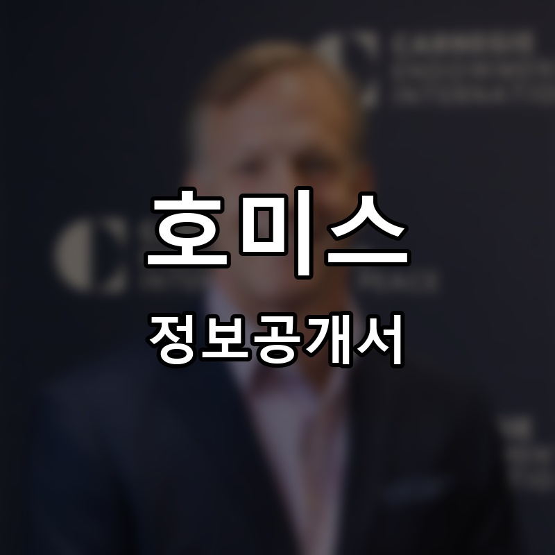 호미스(HOMIES) 프랜차이즈 정보공개서 요약