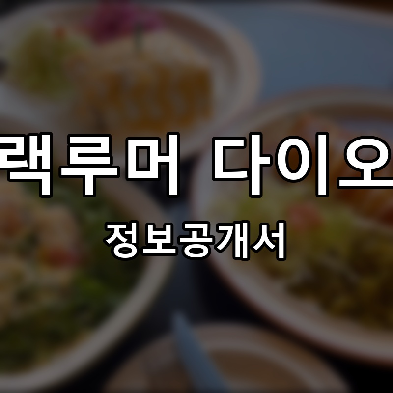 블랙루머 다이오트 프랜차이즈 정보공개서