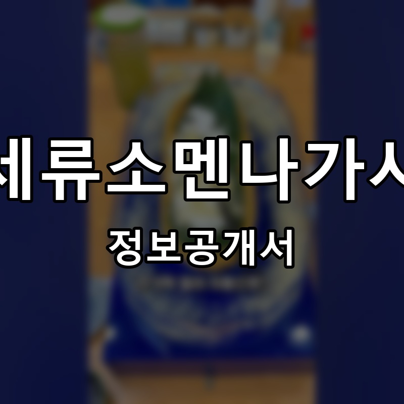 세류소멘나가시 프랜차이즈 정보공개서