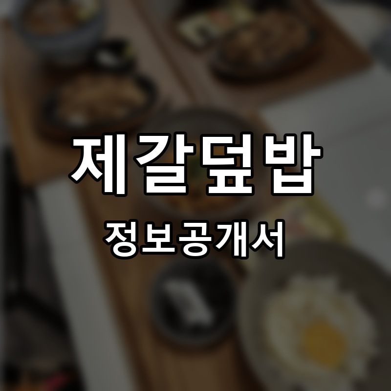 제갈덮밥&짜글이 프랜차이즈 정보공개서 요약