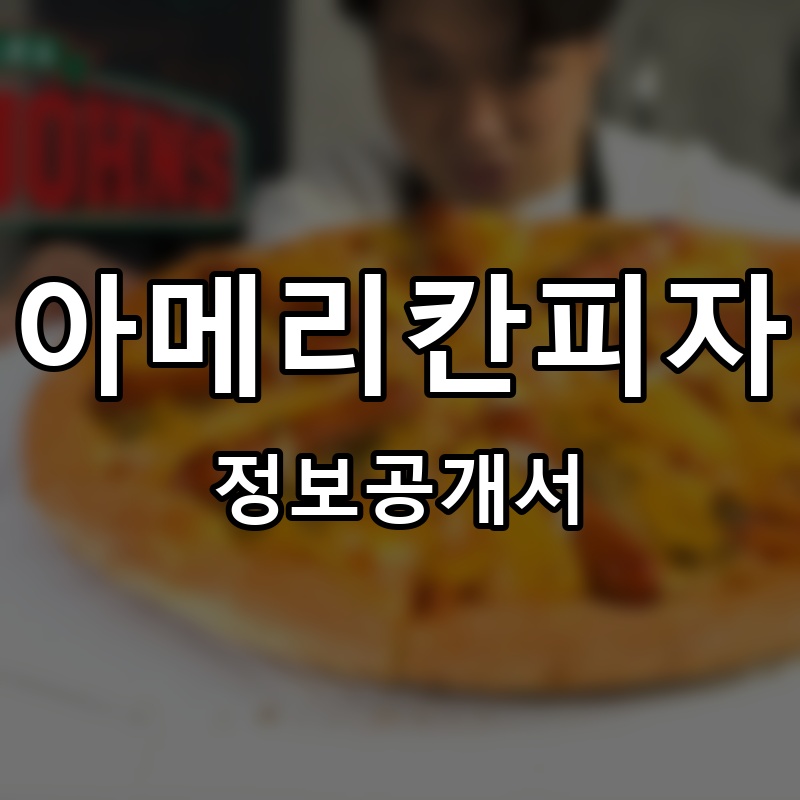 아메리칸피자 프랜차이즈 정보공개서 요약
