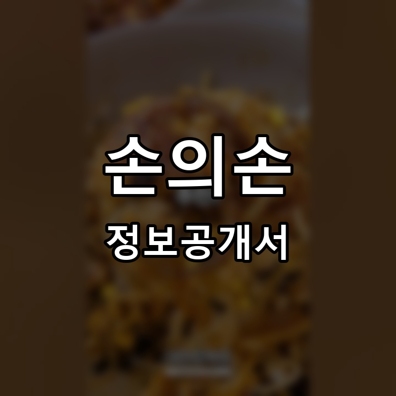 손의손 프랜차이즈 정보공개서 요약