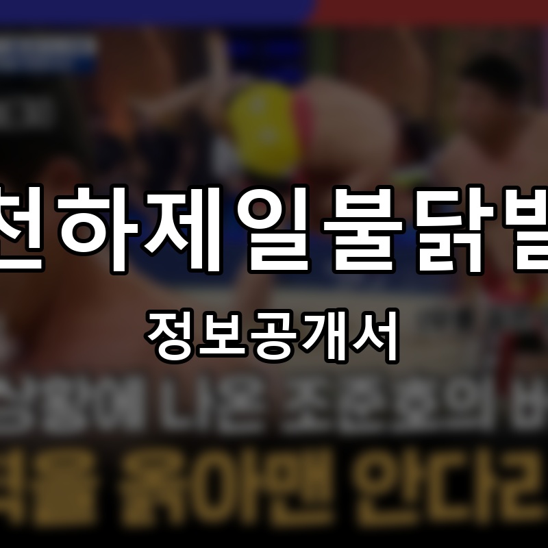 천하제일불닭발 프랜차이즈 정보공개서 요약