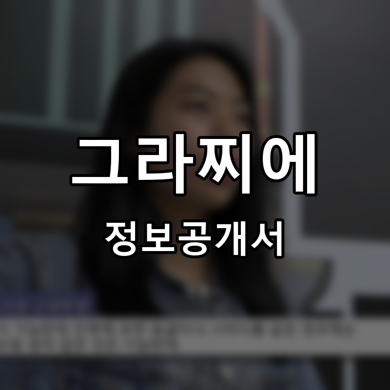 그라찌에 프랜차이즈 정보공개서 요약