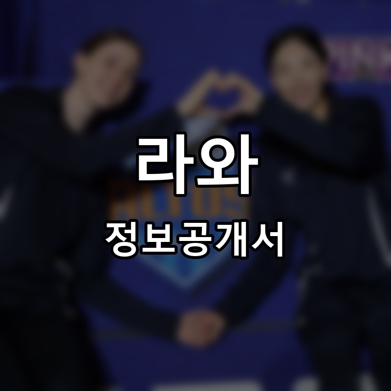 라와 프랜차이즈 정보공개서 요약