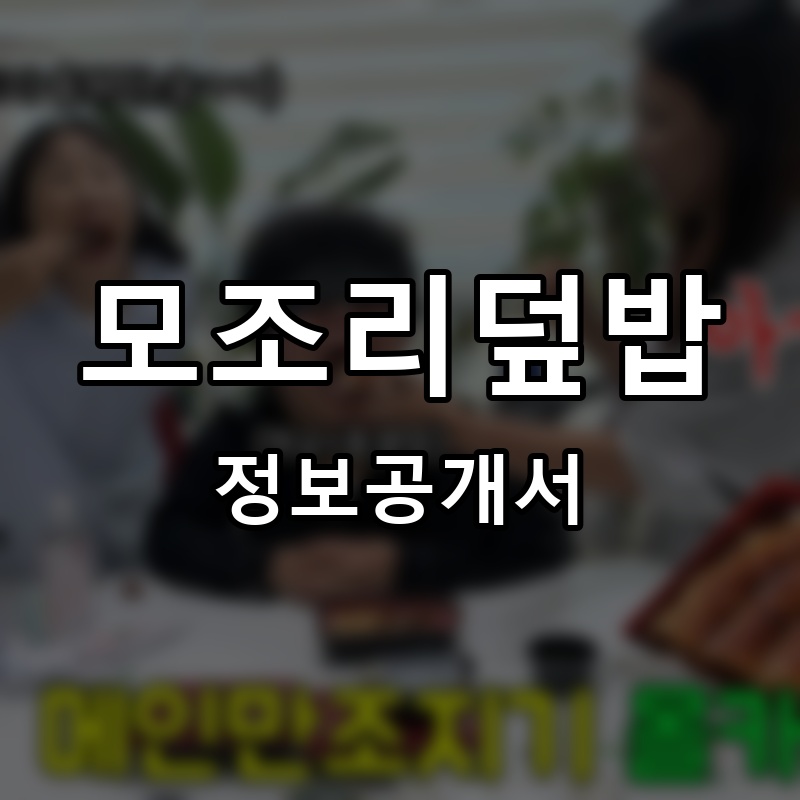 모조리덮밥 프랜차이즈 정보공개서 요약