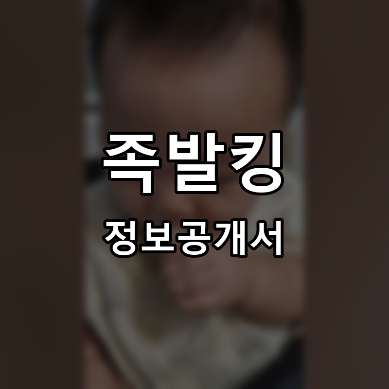 족발킹 프랜차이즈 정보공개서 요약