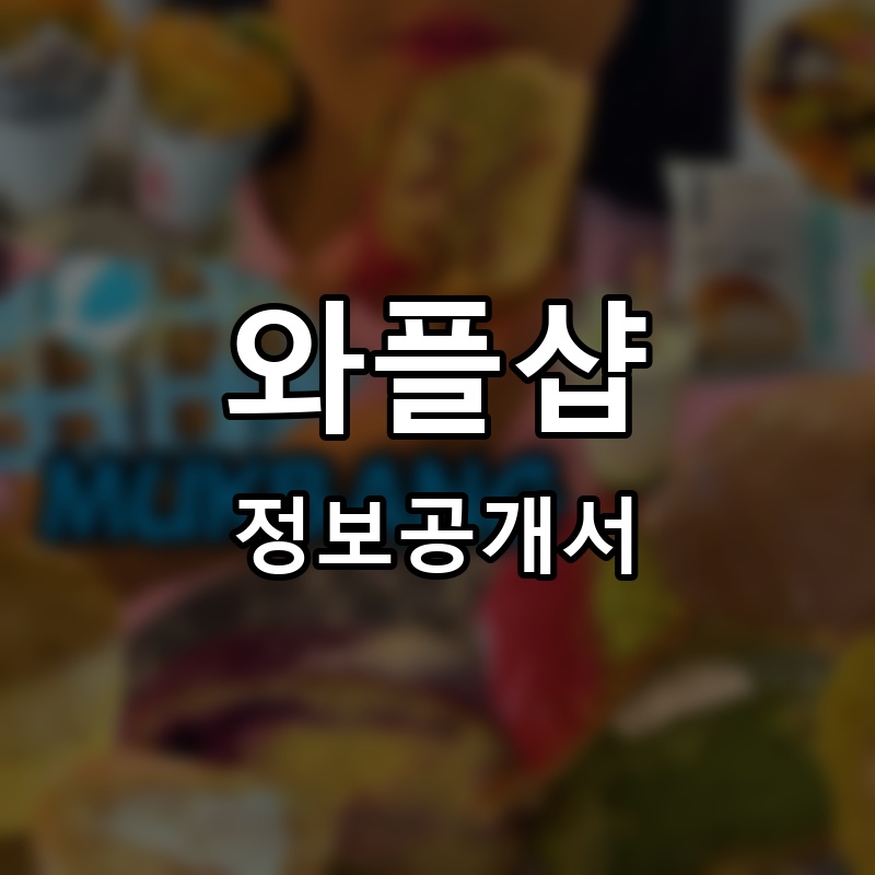 와플샵 프랜차이즈 정보공개서 요약