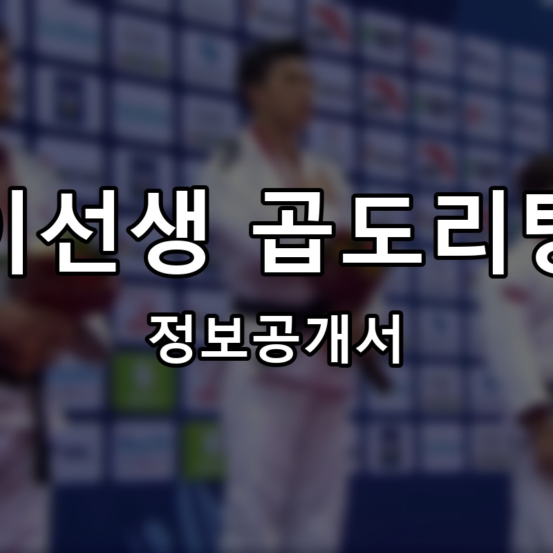 이선생 곱도리탕 프랜차이즈 정보공개서 요약