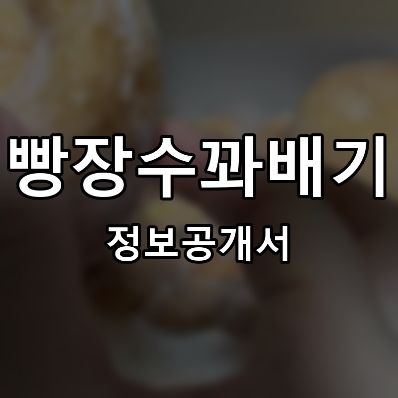 빵장수꽈배기 프랜차이즈 정보공개서 요약