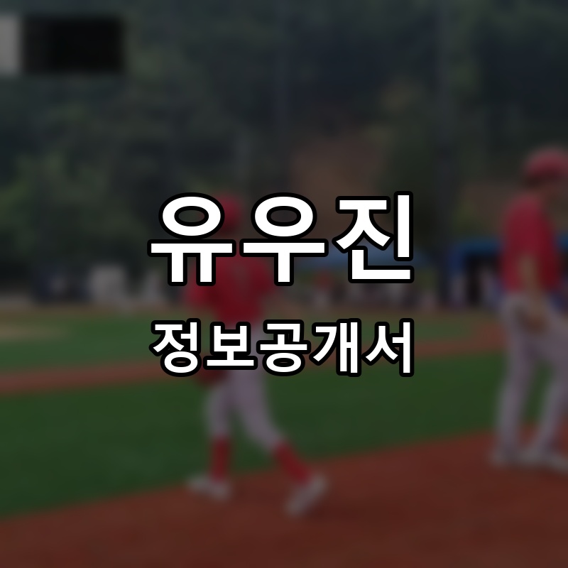 유우진 프랜차이즈 정보공개서 요약