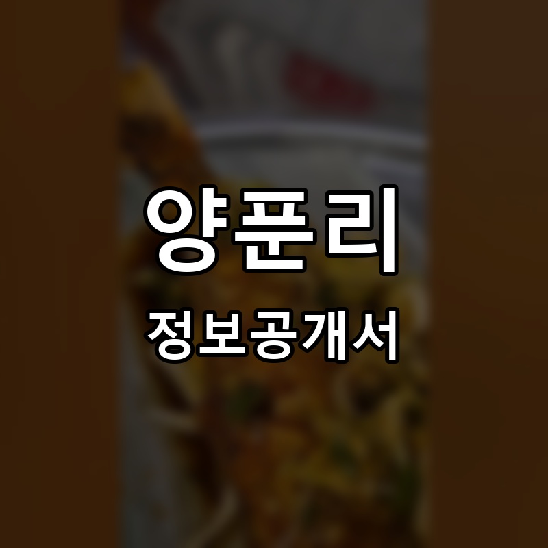 양푼리 프랜차이즈 정보공개서 요약