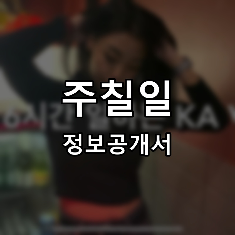 주칠일 프랜차이즈 정보공개서