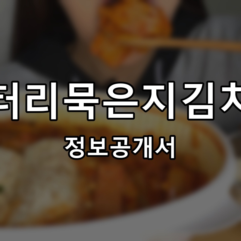 엉터리묵은지김치찜 프랜차이즈 정보공개서