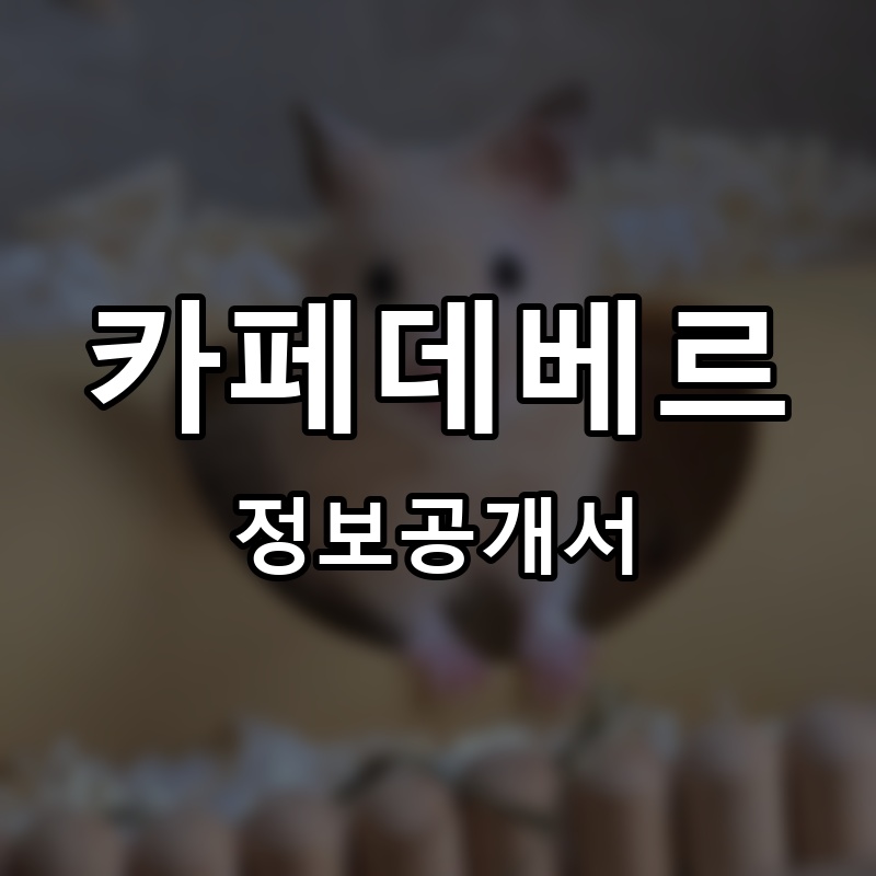 카페데베르 프랜차이즈 정보공개서