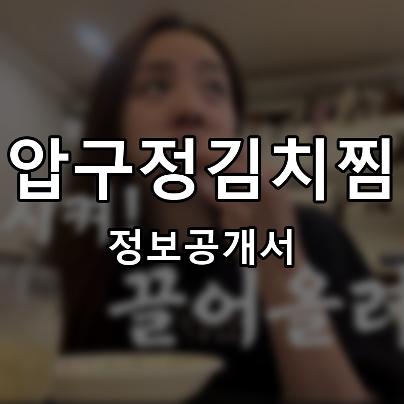 압구정김치찜 프랜차이즈 정보공개서