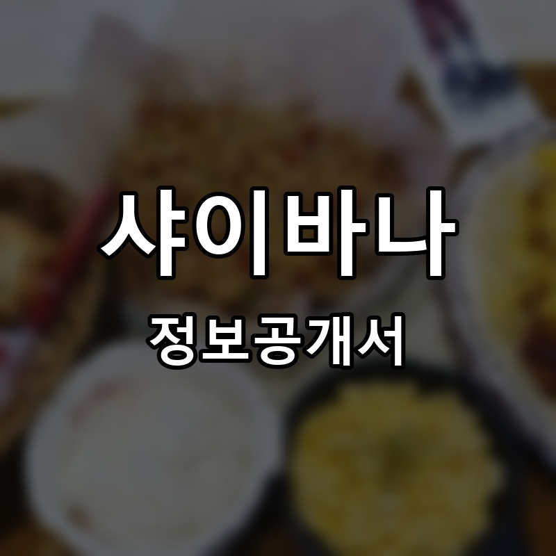 샤이바나 프랜차이즈 정보공개서