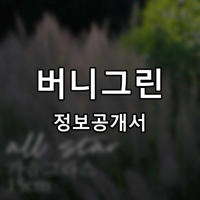 버니그린 프랜차이즈 정보공개서