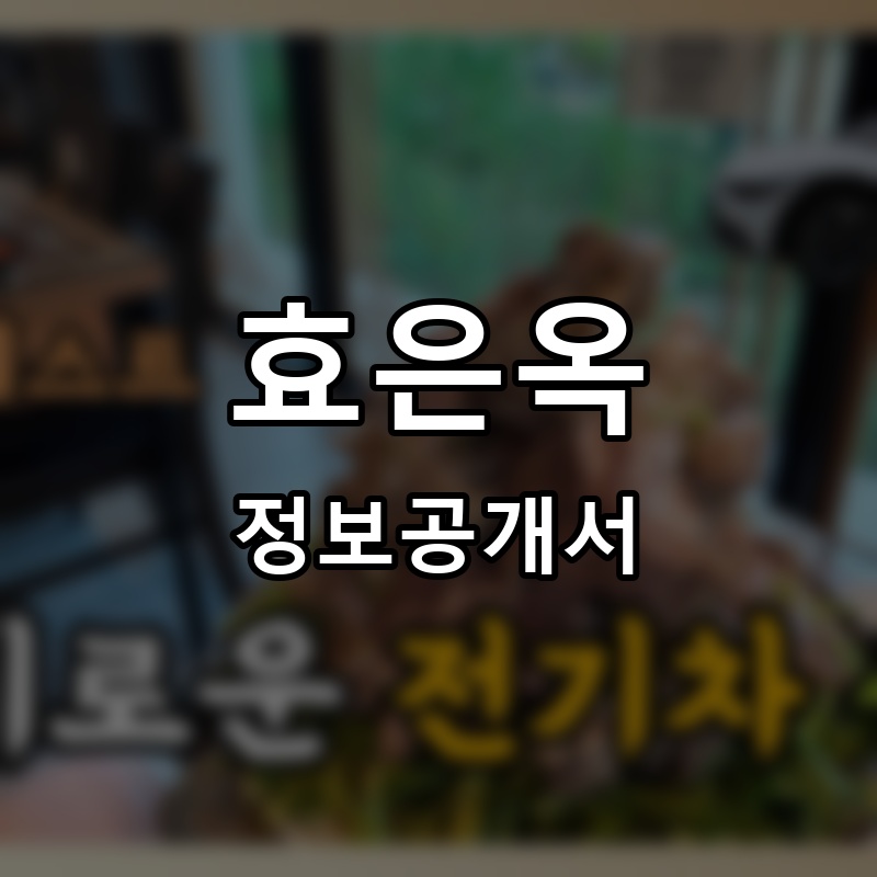 효은옥 프랜차이즈 정보공개서