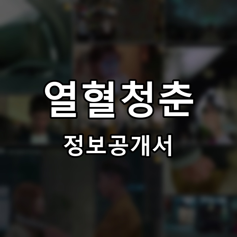 열혈청춘 프랜차이즈 정보공개서