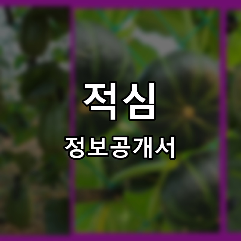 적심 프랜차이즈 정보공개서