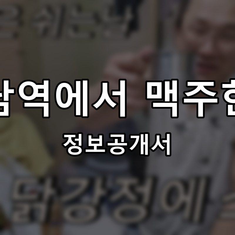 강남역에서 맥주한잔 프랜차이즈 정보공개서