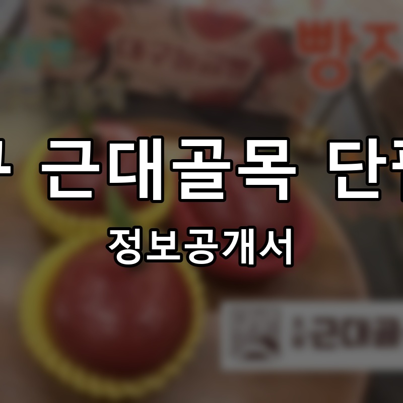 대구 근대골목 단팥빵 프랜차이즈 정보공개서