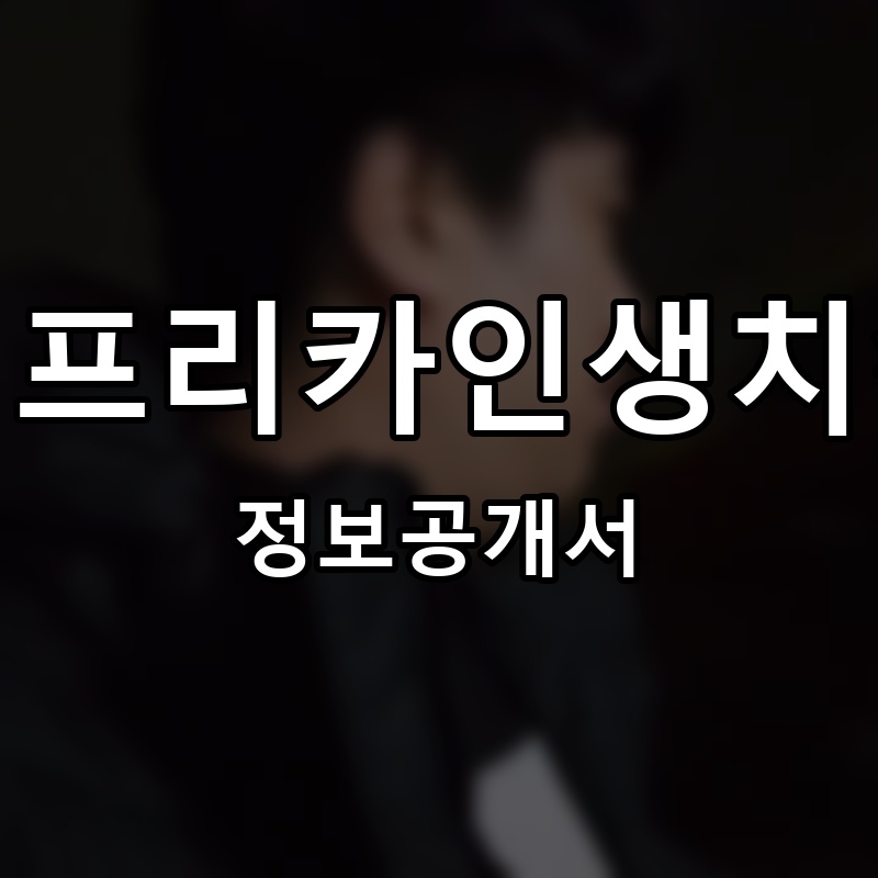 범프리카인생치킨 프랜차이즈 정보공개서