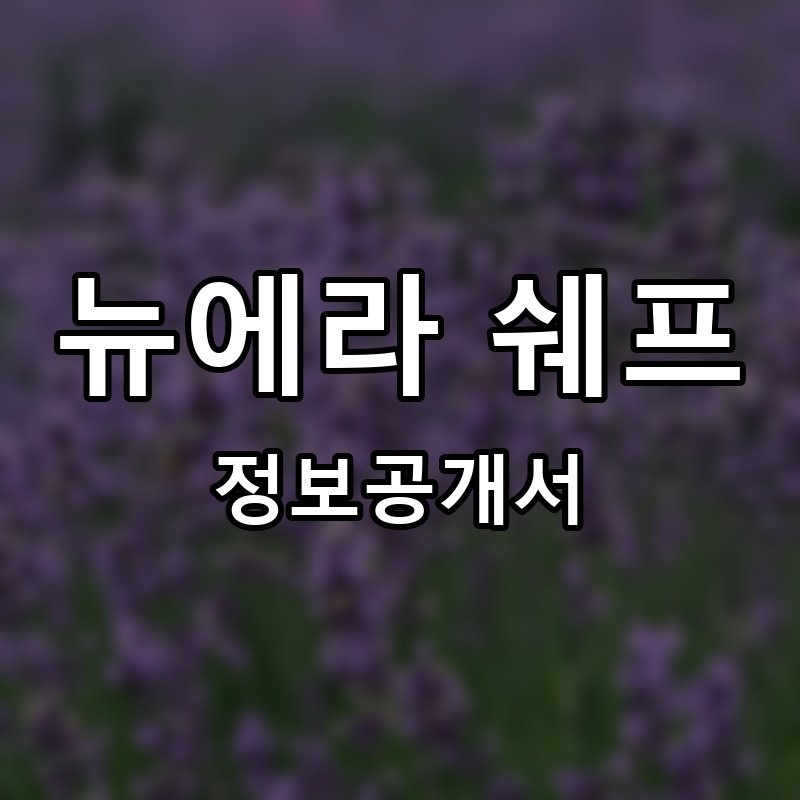 뉴에라 쉐프 프랜차이즈 정보공개서
