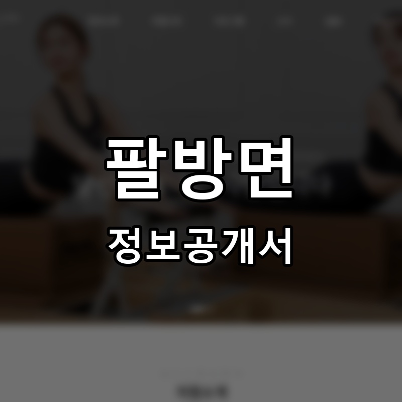 팔방면 프랜차이즈 정보공개서