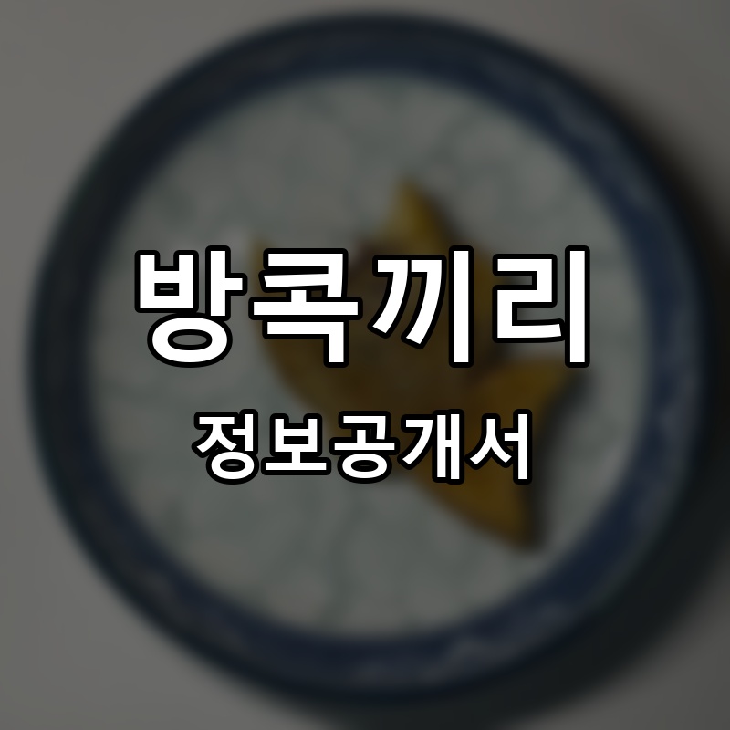 미스터붕 프랜차이즈 정보공개서