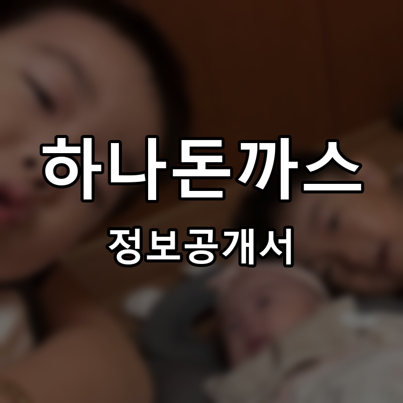 하나돈까스 프랜차이즈 정보공개서