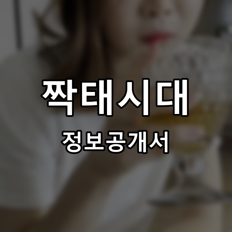 짝태시대 프랜차이즈 정보공개서